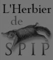 The SPIP Garden