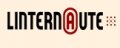 L'internaute